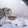 Katzennapf Hundebecken Rutschfester Doppelnapf Katzenfutter Fressnapf mit Ständer Transparenter Katzen- und Hundewassernapf F