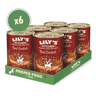 Rindergulasch mit Kürbis und Zimt (6 x 400g) | Lily's Kitchen