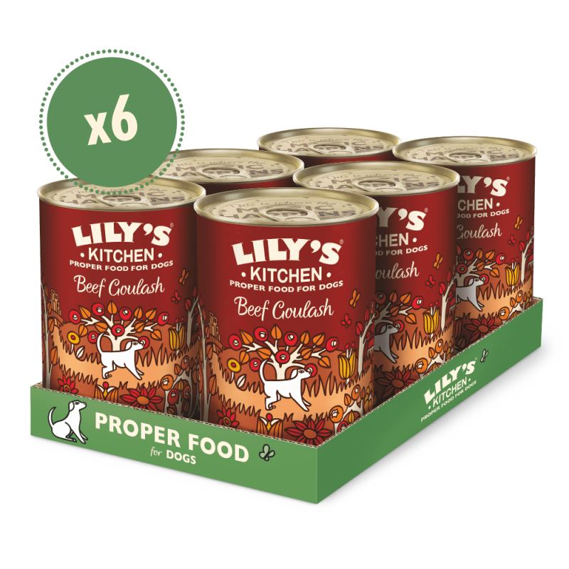 Rindergulasch mit Kürbis und Zimt (6 x 400g) | Lily's Kitchen