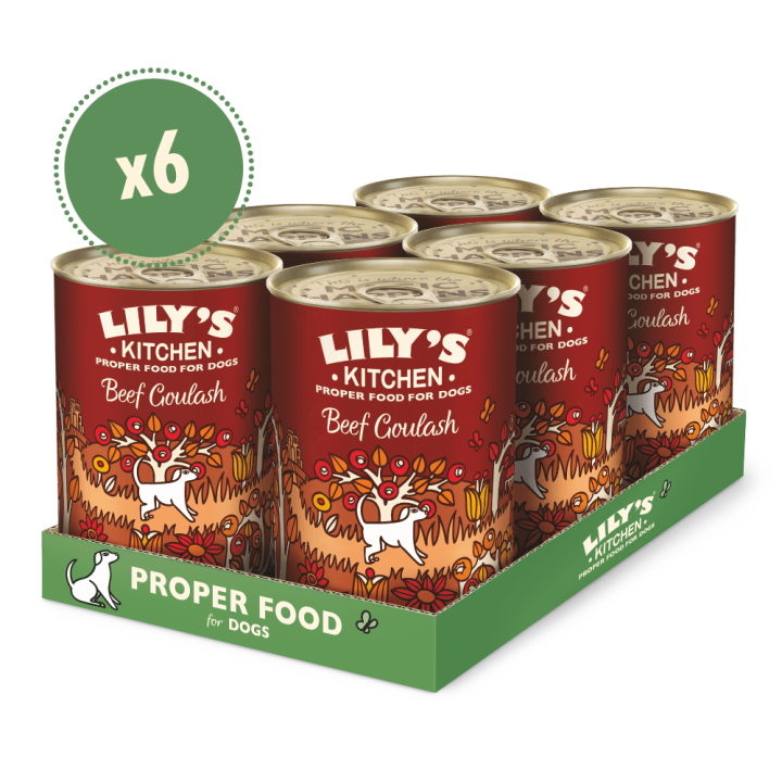 Rindergulasch mit Kürbis und Zimt (6 x 400g) | Lily's Kitchen