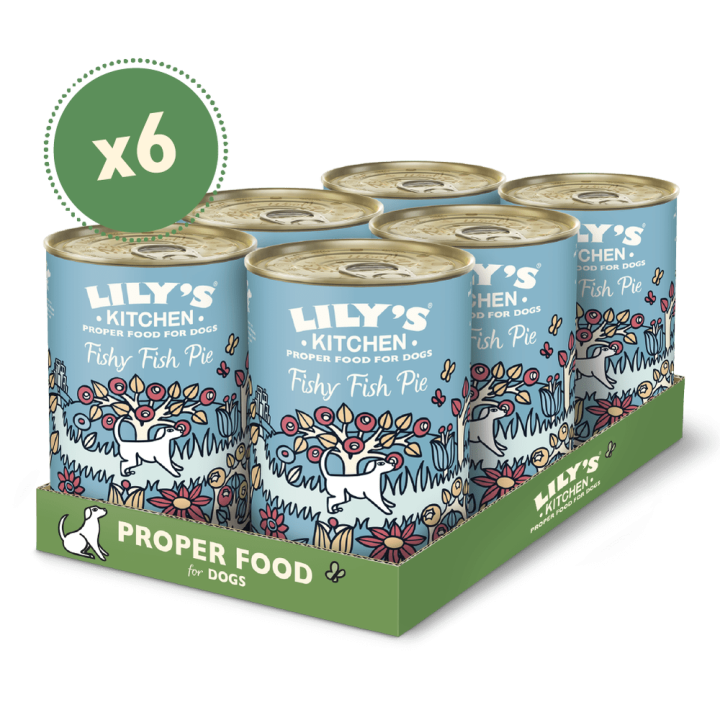 Fischpastete mit Truthahn, Lachs und Kartoffeln (6 x 400g) | Lily's Kitchen