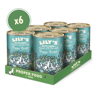 Welpenfutter mit Truthahn (6 x 400g) | Lily's Kitchen