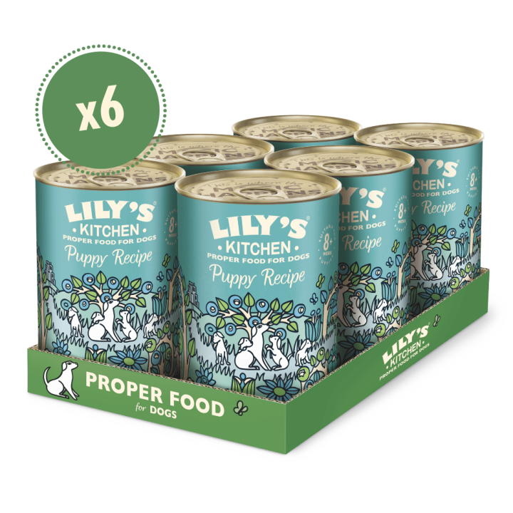 Welpenfutter mit Truthahn (6 x 400g) | Lily's Kitchen