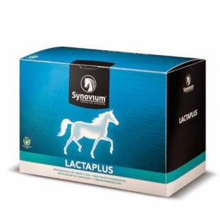 Synovium Lactaplus - 6 x 40 g