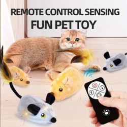 Simulationsspielzeug für Katzen zum Fangen mit Fernbedienung, elektrisch wiederaufladbar, Spielzeug für den Innenbereich, Lan