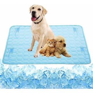 Kältekissen aus Eisseide, Haustiermatte, für Katzen und Hunde, Sommersofakissen (XL 10070 cm)