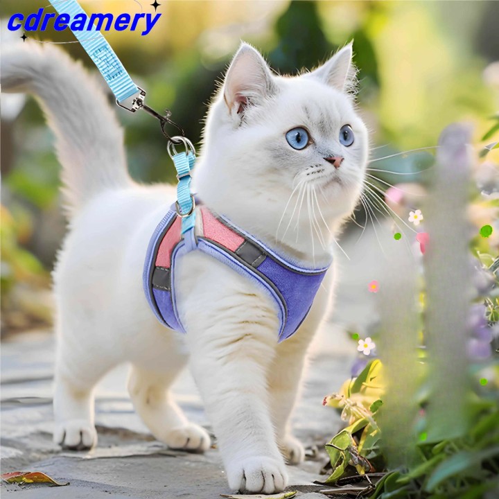 Hunde- und Katzengeschirr, Leine, Kombi, kein Ziehen, reflektierend, verstellbar, für kleine Haustiere, Walking-Training im F