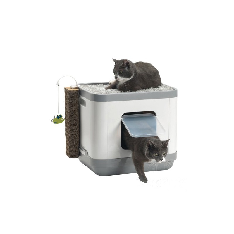 Moderna Cat Concept