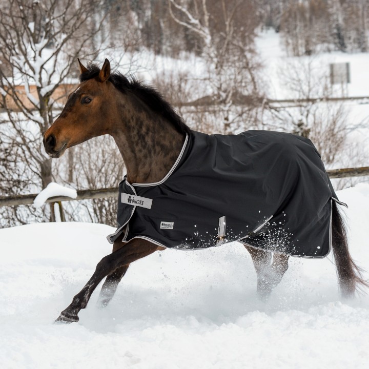 Wasserdichte Outdoor-Decke für Pferde Bucas Anniversary Turnout 0g