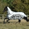 Fliegendecke für Pferde wasserdicht Bucas Rain Zebra