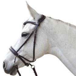 Reittrensen für Pferde Canter Bitless Evolution