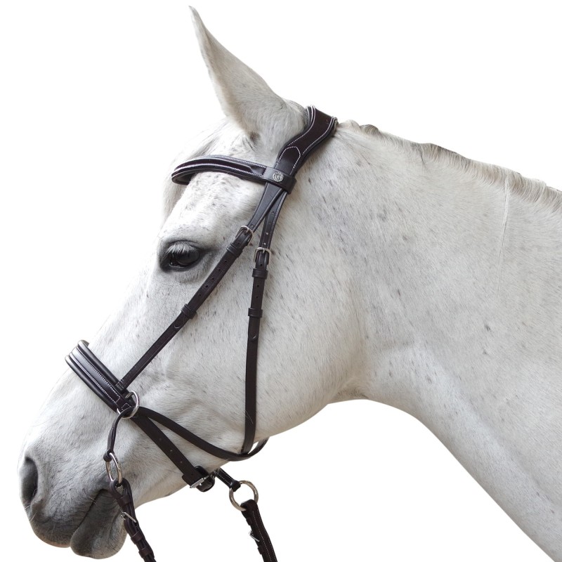 Reittrensen für Pferde Canter Bitless Evolution