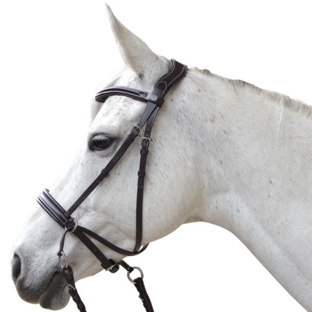 Reittrensen für Pferde Canter Bitless Evolution