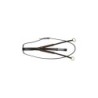 Martingal mit elastischen Ringen Canter