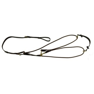 Standardgogge für Pferde Canter