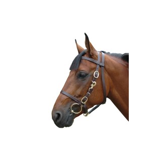 Reittrensen Halfter breit Canter