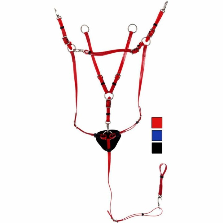 Vorderzeug für Pferde und Martingal Daslö PVC