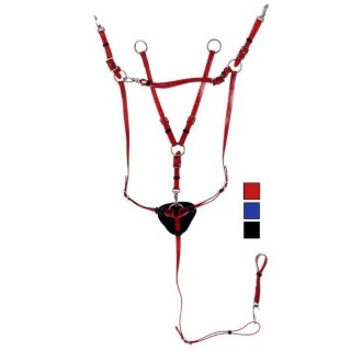 Vorderzeug für Pferde und Martingal Daslö PVC