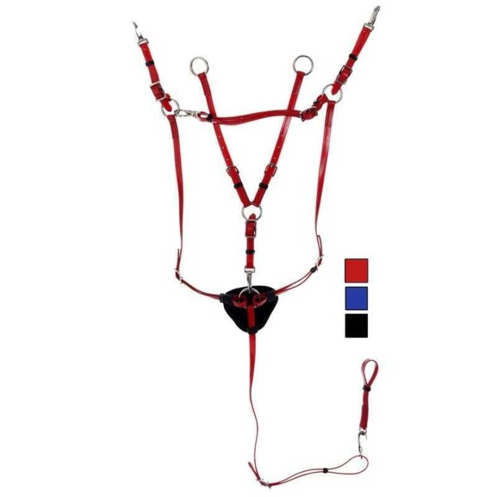 Vorderzeug für Pferde und Martingal Daslö PVC