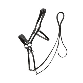 Gebisslose Trensen für Pferde Edix Saddles ED1-Rose