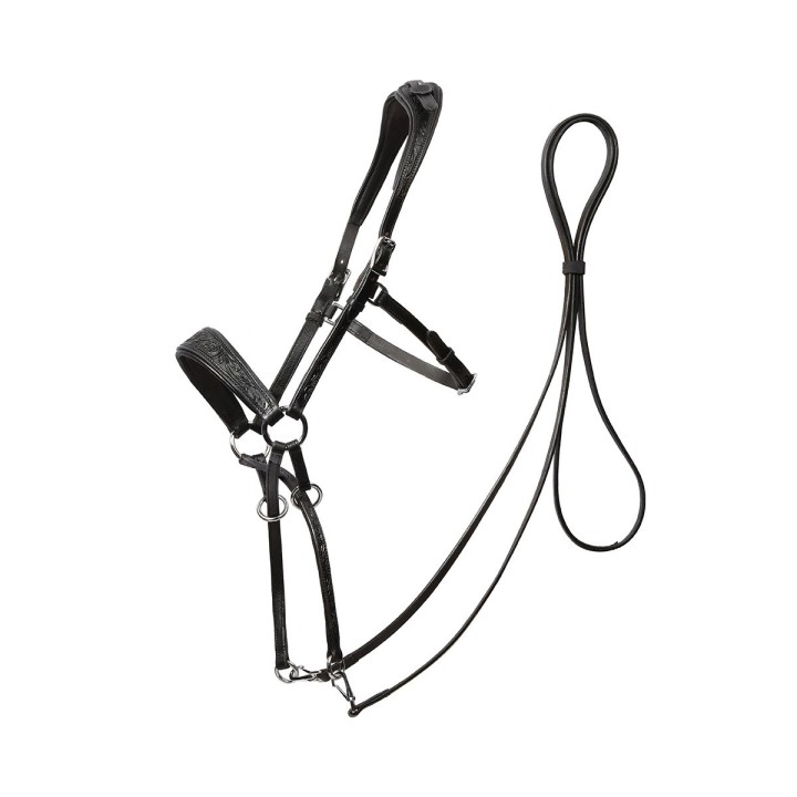 Gebisslose Trensen für Pferde Edix Saddles ED1-Rose