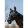 Fliegenhaube Equithème A-M.A.UV. Lycra + Nez
