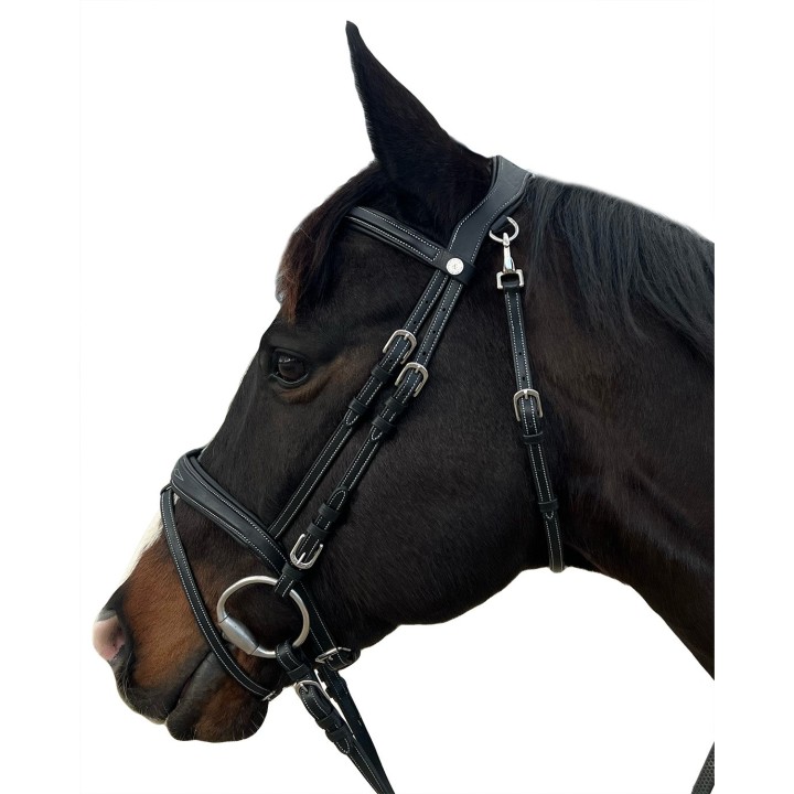 Reittrensen für Pferde Flags&Cup New York