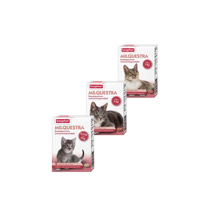Beaphar Milquestra - kleine Katze/Kätzchen - 2 Tabletten