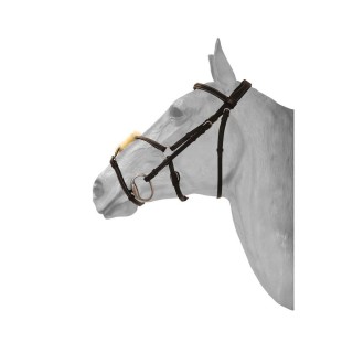 Reittrense Mexikanisches anatomisch gekreuztes Reithalfter HFI