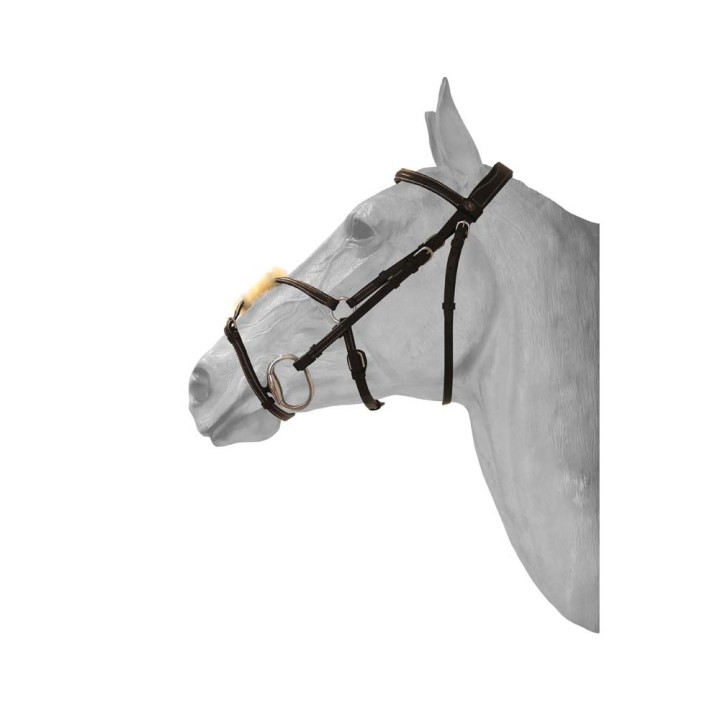 Reittrense Mexikanisches anatomisch gekreuztes Reithalfter HFI