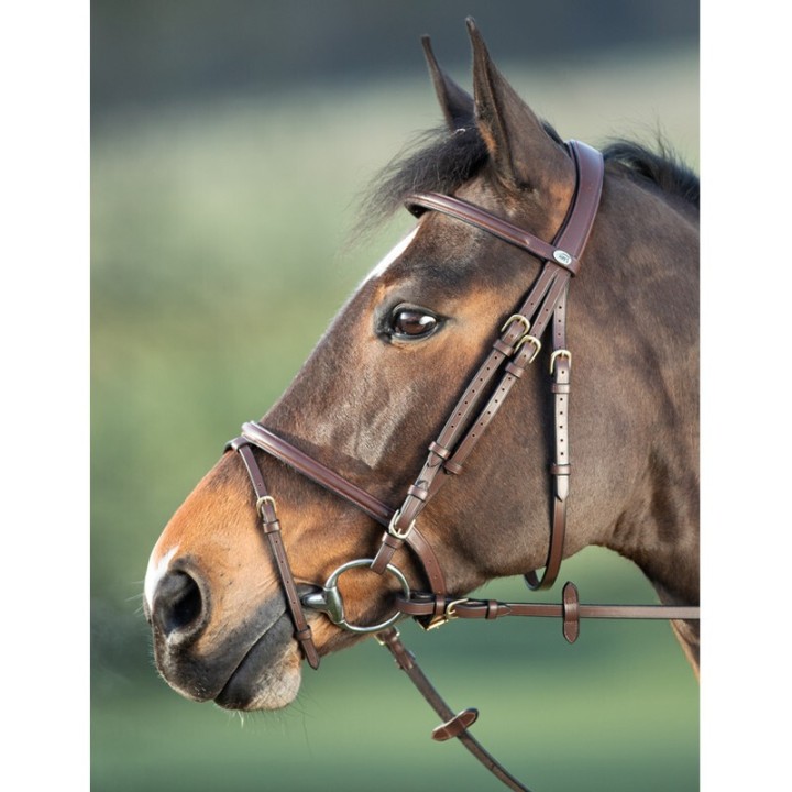 Zaumzeug Reiten HFI Regular