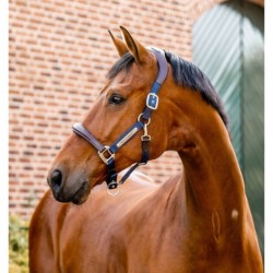 Lederhalfter für Pferde Horseware Signature