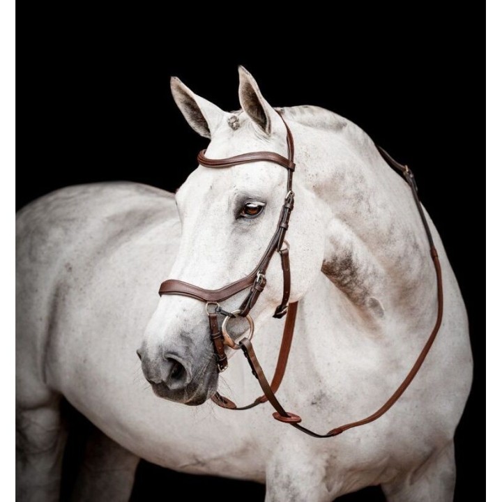 Trense Horseware Micklem 2