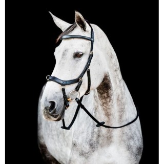 Trense Horseware Micklem 2 Multi