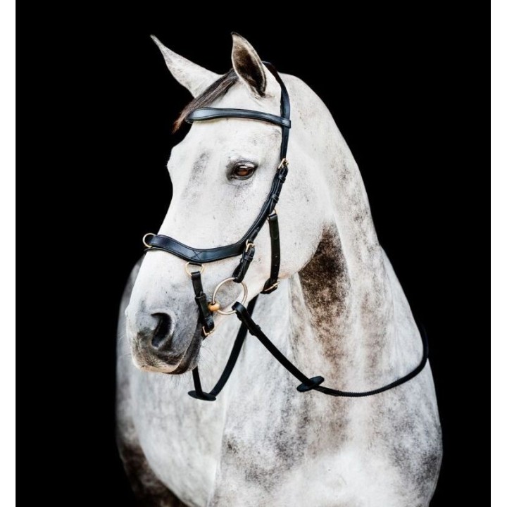 Trense Horseware Micklem 2 Multi