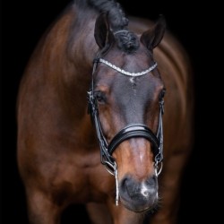 Zaumzeug Reiten Imperial Riding Olympia