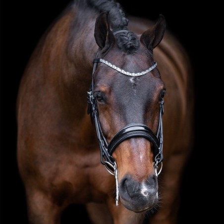 Zaumzeug Reiten Imperial Riding Olympia