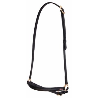 Hannoveranisches Reithalfter für Pferde Karlslund Kombi