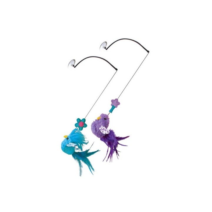 KONG Cat - Window Teaser