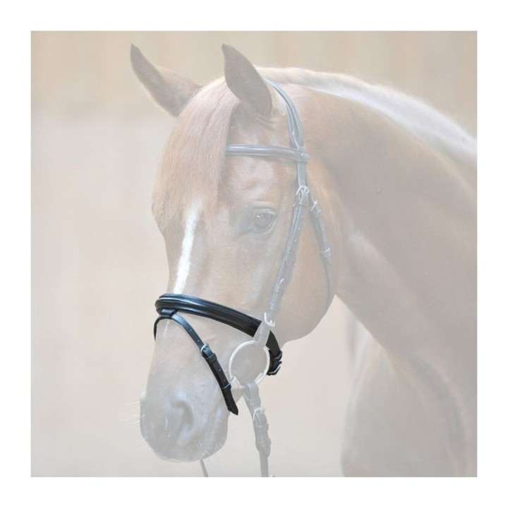 Reithalfter Kavalkade Flash