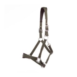 Halfter Kavalkade Perlon Classic-Simple