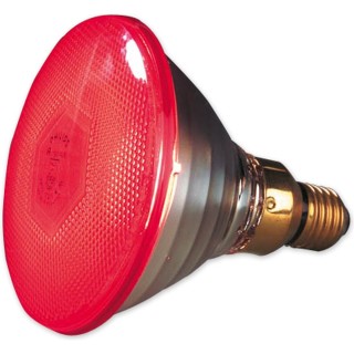 Sparsame Infrarotlampe Kerbl Philips