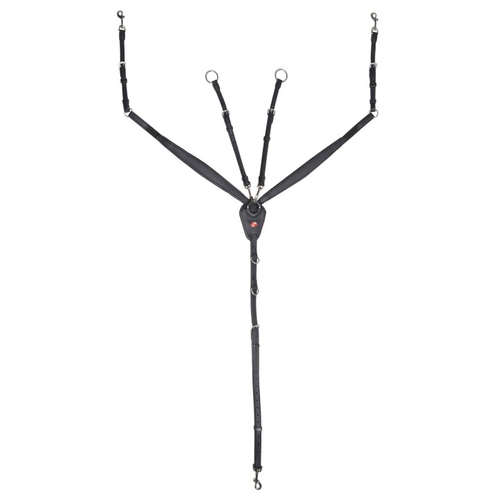 Vorderzeug für Pferde Kieffer Jessica