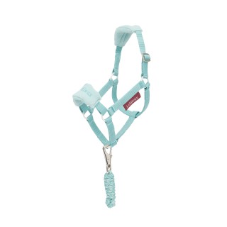 Set aus Halfter und Longiergurt für Pferde LeMieux Hobby Horse Vogue