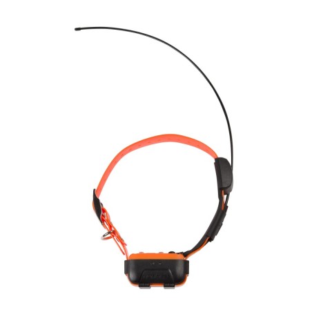 Hundehalsband mit Tracker GPS Num'axes Canicom