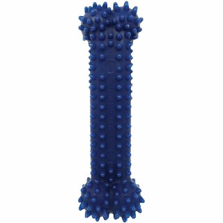 Hundespielzeug Nylabone Moderate Dental Chew - Chicken XS