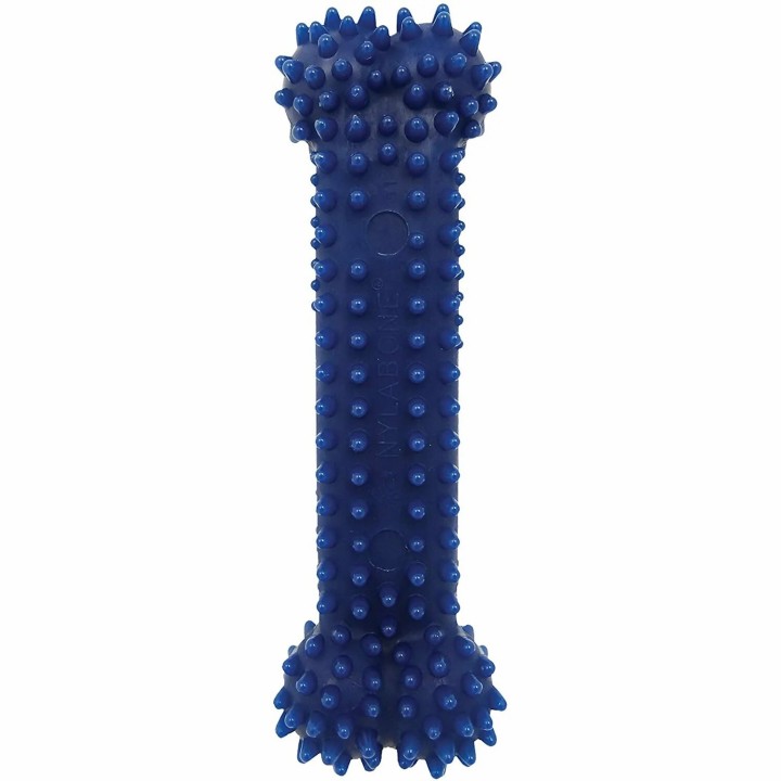 Hundespielzeug Nylabone Moderate Dental Chew - Chicken XS