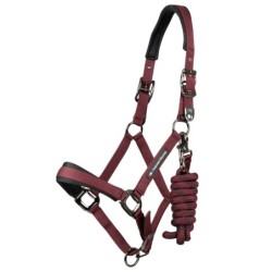 Nylonhalfter für Pferde Premier Equine Corda