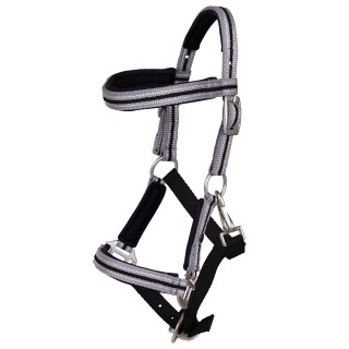 Fohlenhalfter mit Stirnband QHP