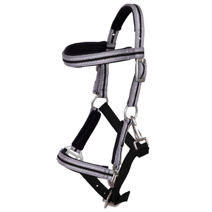 Fohlenhalfter mit Stirnband QHP